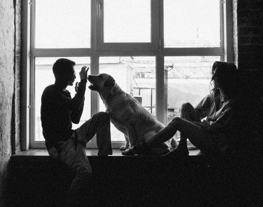 founders-free-img Founders Free Img